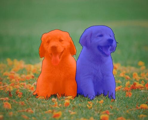 Semantic Segmentation